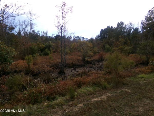 Lot 44964 Big Island Road , White Oak, NC 28399