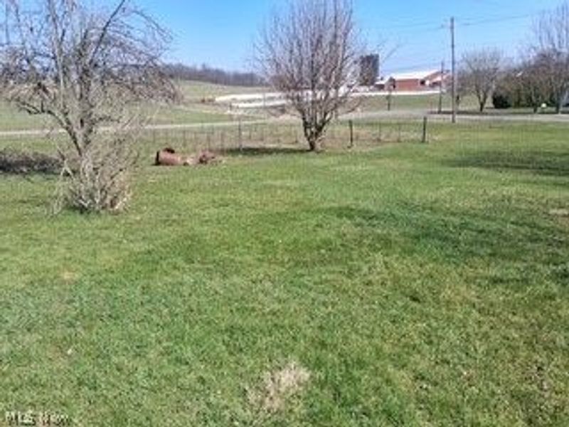 15538 N Main Street, Rittman, OH 44270 Photo 4