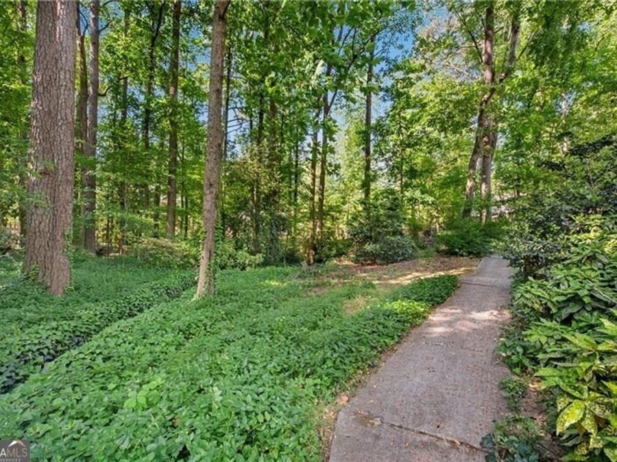 Property Image 45