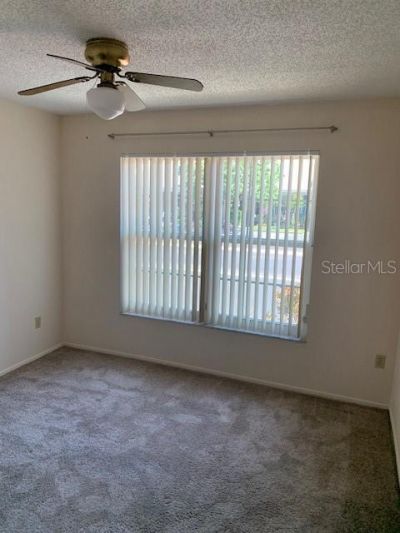 285 Rogers Court, Safety Harbor, FL 34695 Photo