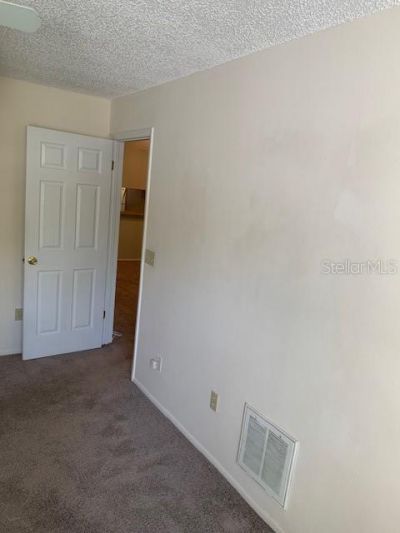 285 Rogers Court, Safety Harbor, FL 34695 Photo
