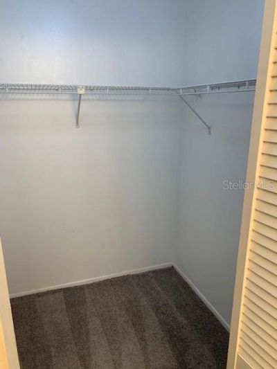 285 Rogers Court, Safety Harbor, FL 34695 Photo
