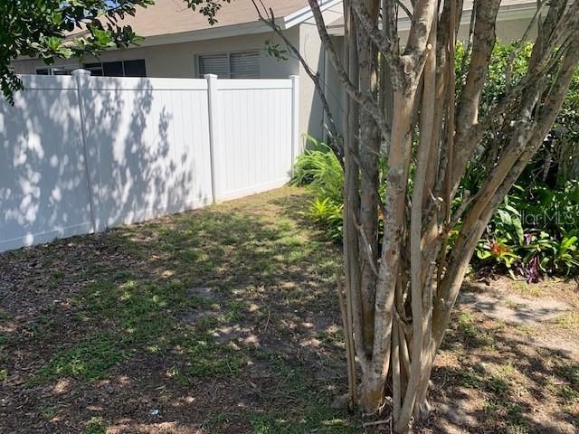 285 Rogers Court, Safety Harbor, FL 34695 Photo