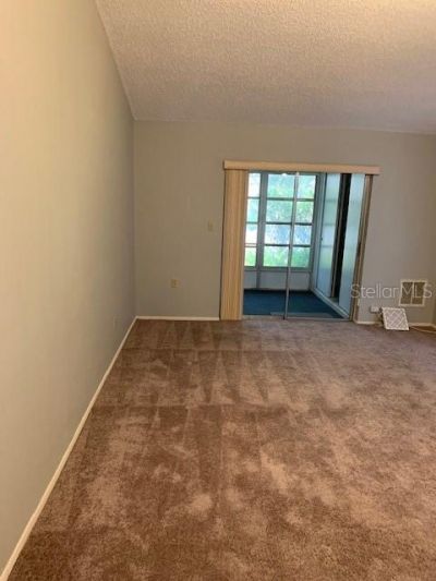 285 Rogers Court, Safety Harbor, FL 34695 Photo