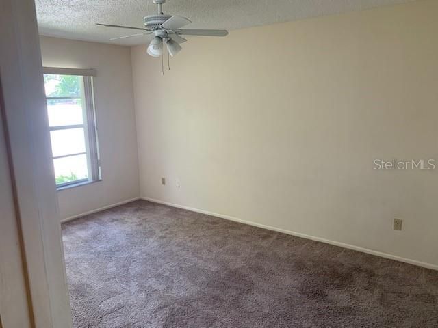 285 Rogers Court, Safety Harbor, FL 34695 Photo
