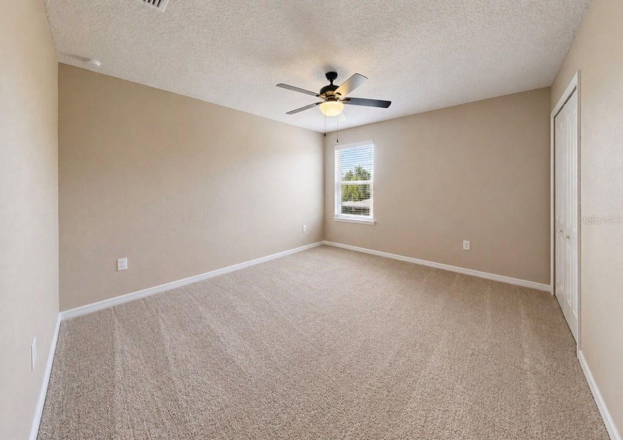 14146 Poke Ridge Drive, Riverview, FL 33579 Photo