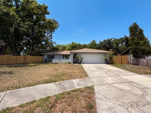 13804 CANDIDATE PLACE , TAMPA, FL 33613