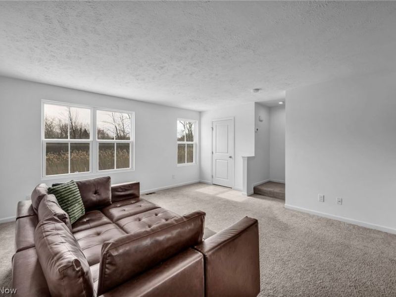 716 Pine Spring Drive, Painesville Township, OH 44077 Photo 13