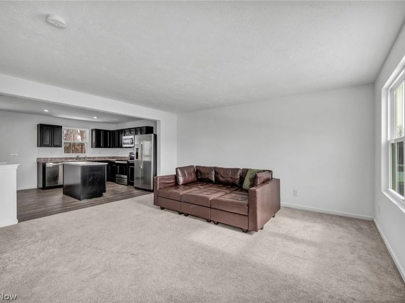 716 Pine Spring Drive, Painesville Township, OH 44077 Photo 15