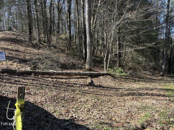 445 Possum Valley Road, Laurel Bloomery, TN 37680