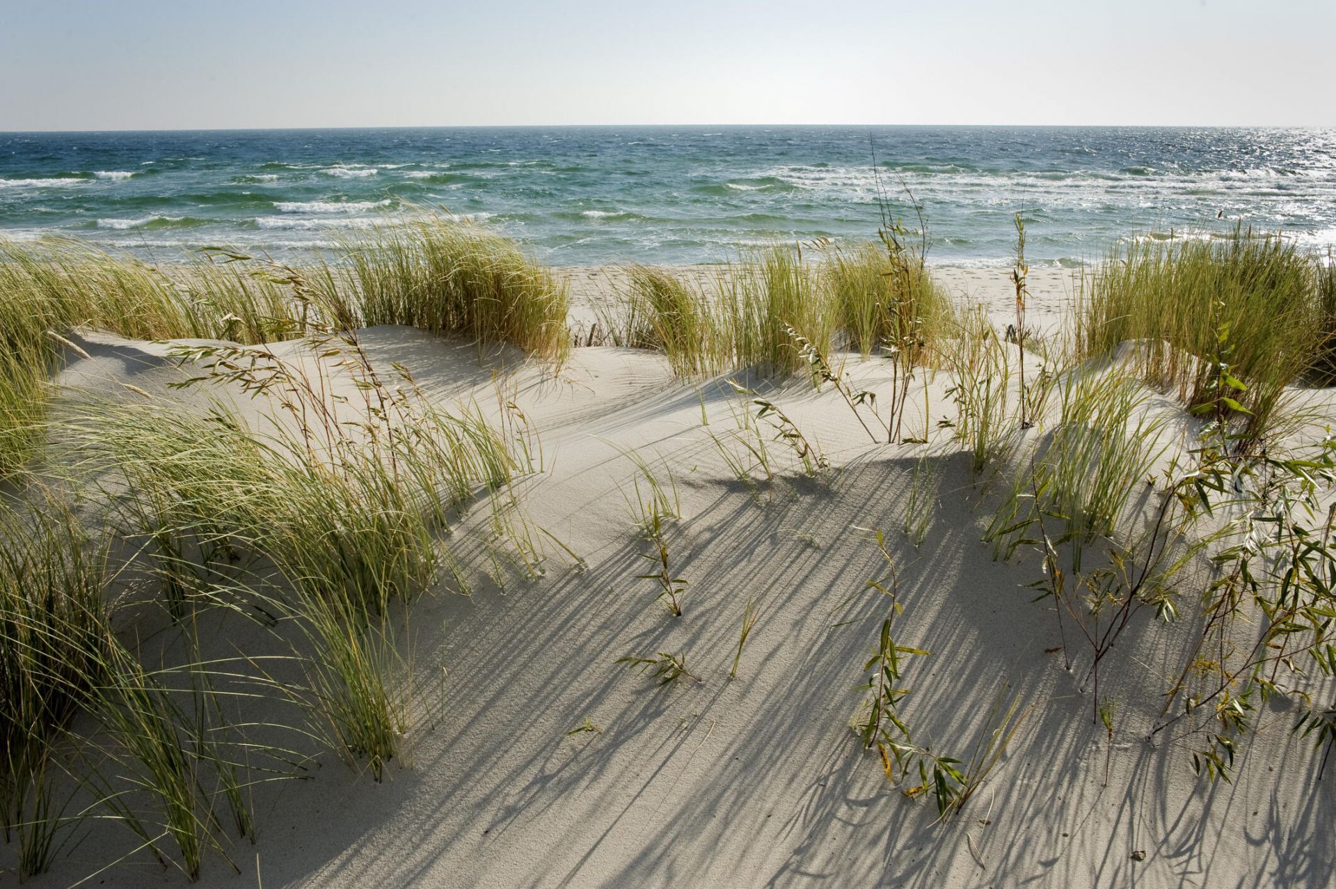 9 William Street Photo 59