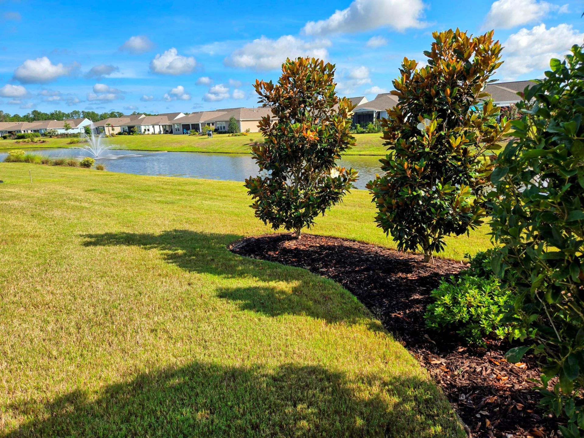 241 Garden Gate Way Photo 21