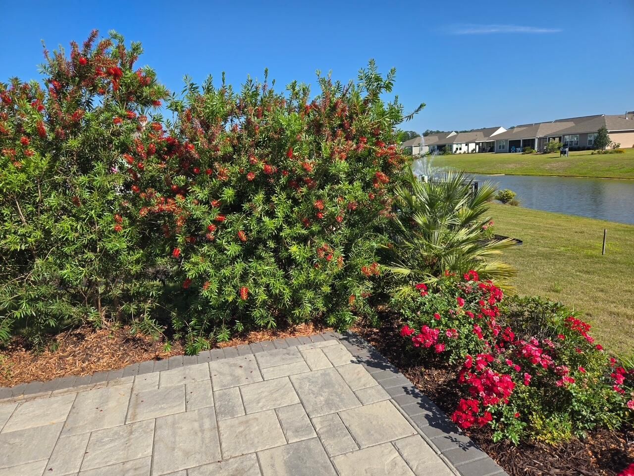 241 Garden Gate Way Photo 40