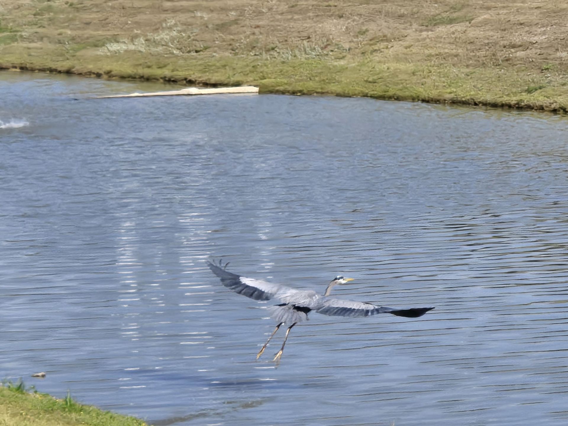 241 Garden Gate Way Photo 41