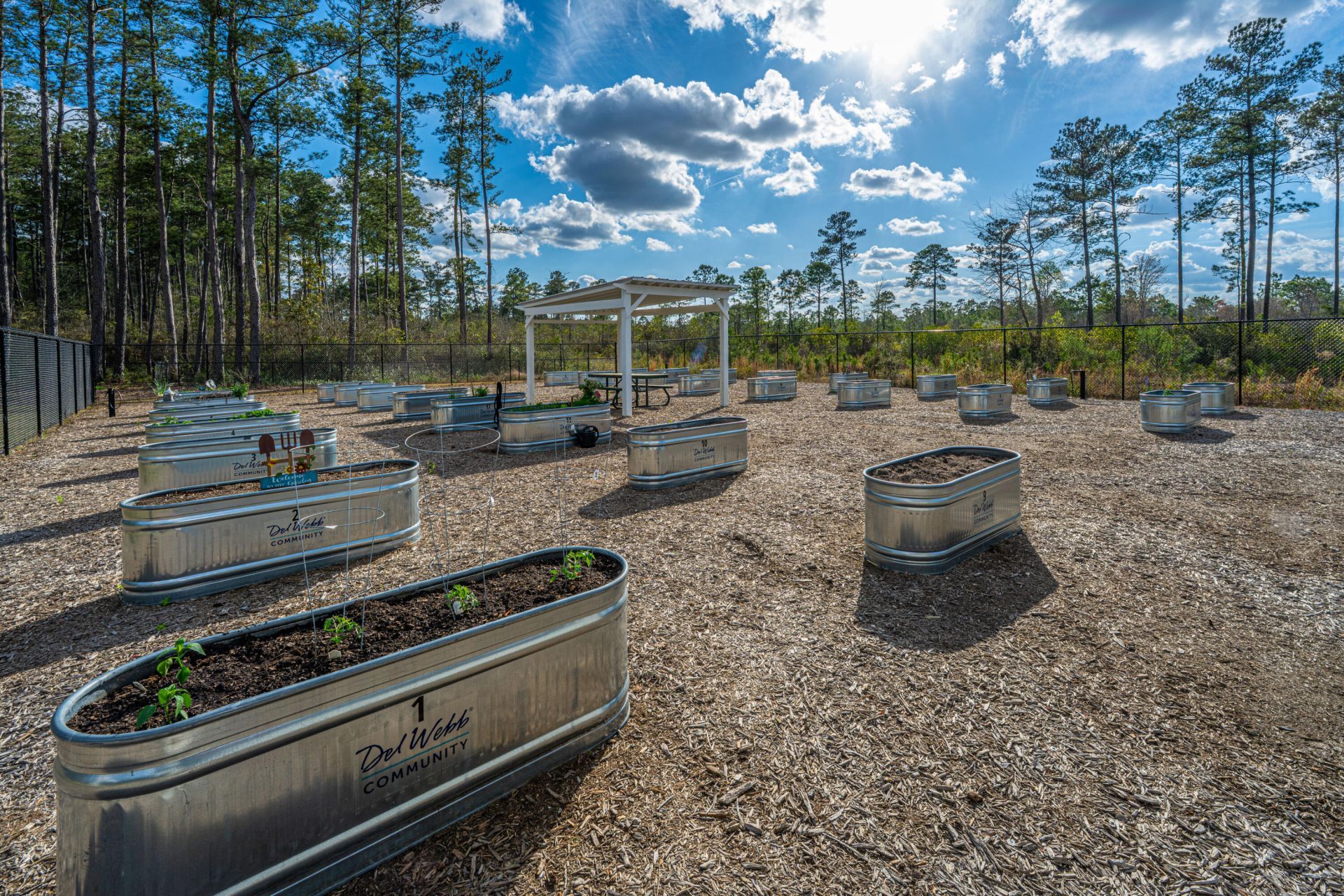 241 Garden Gate Way Photo 73