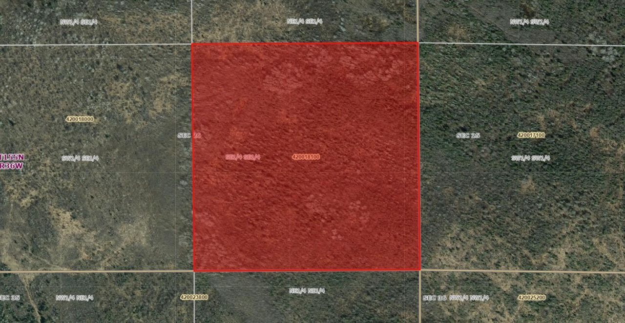 _ _, Steenerson Township, MN 56727 Main Photo