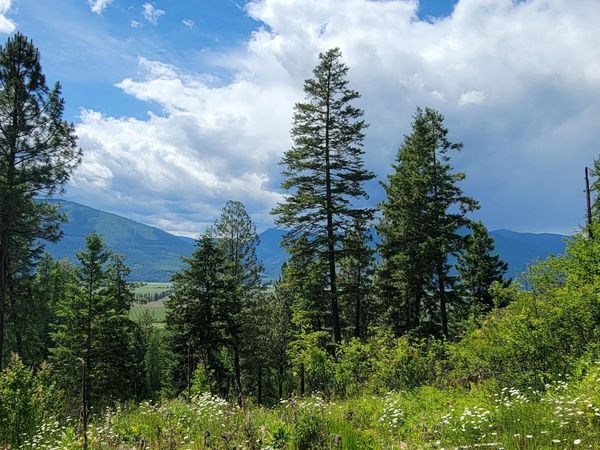 Smugglers Ln Tract A East, Bonners Ferry, ID 83805