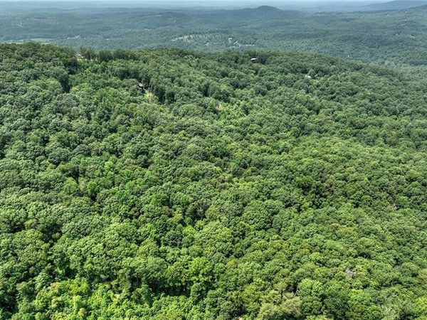 7.89 AC Laurel Springs Road, Mineral Bluff, GA 30559
