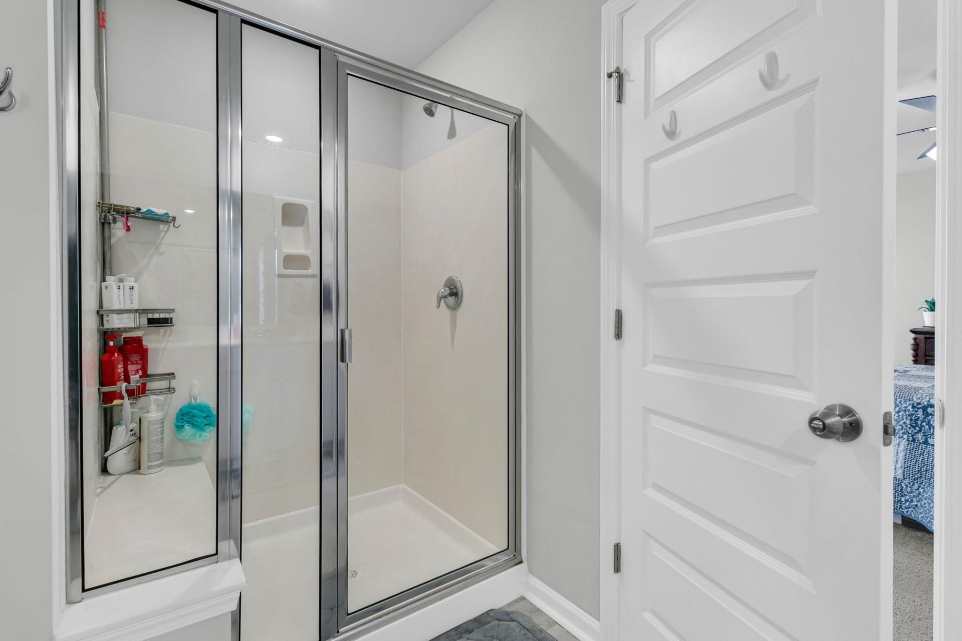 1125 Spotflower Street Photo 21