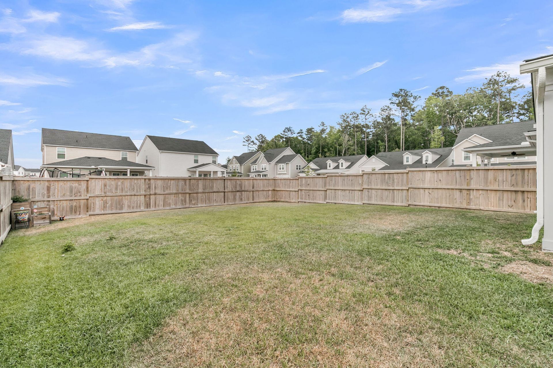 1125 Spotflower Street Photo 30