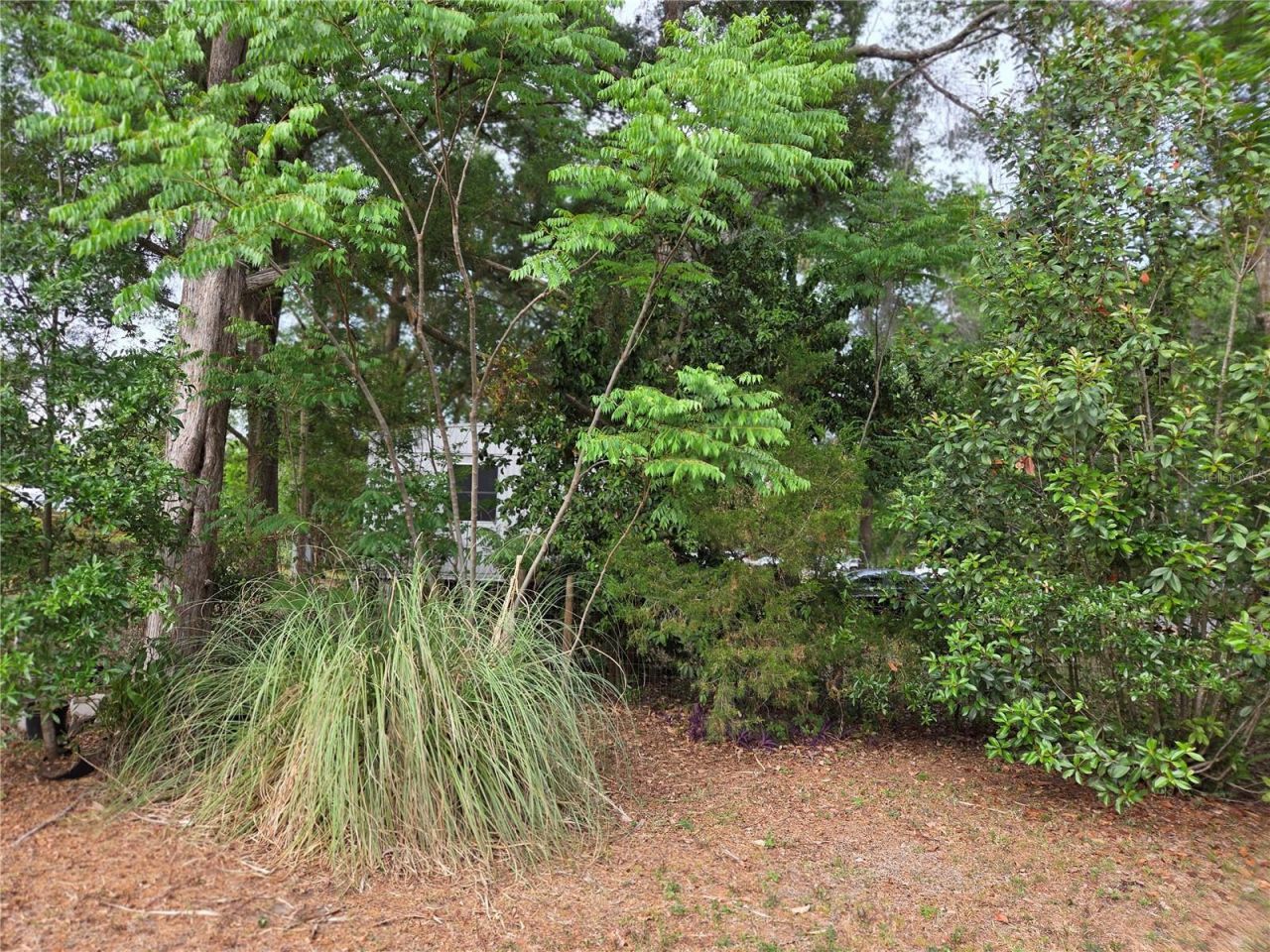421 Margaret Street, Bronson, FL 32621 Photo