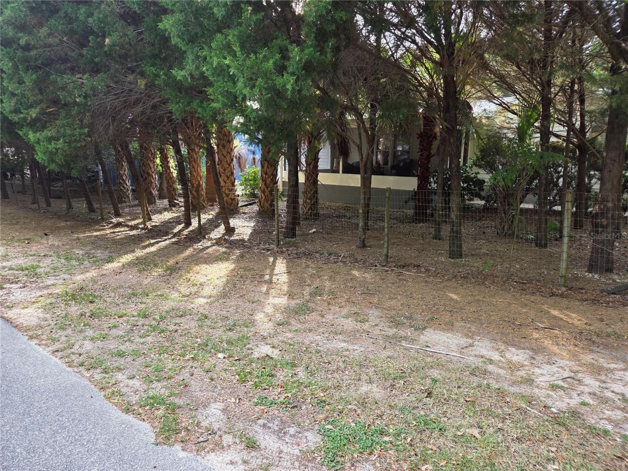 421 Margaret Street, Bronson, FL 32621 Photo