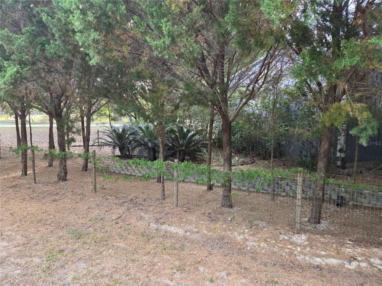 421 Margaret Street, Bronson, FL 32621 Photo