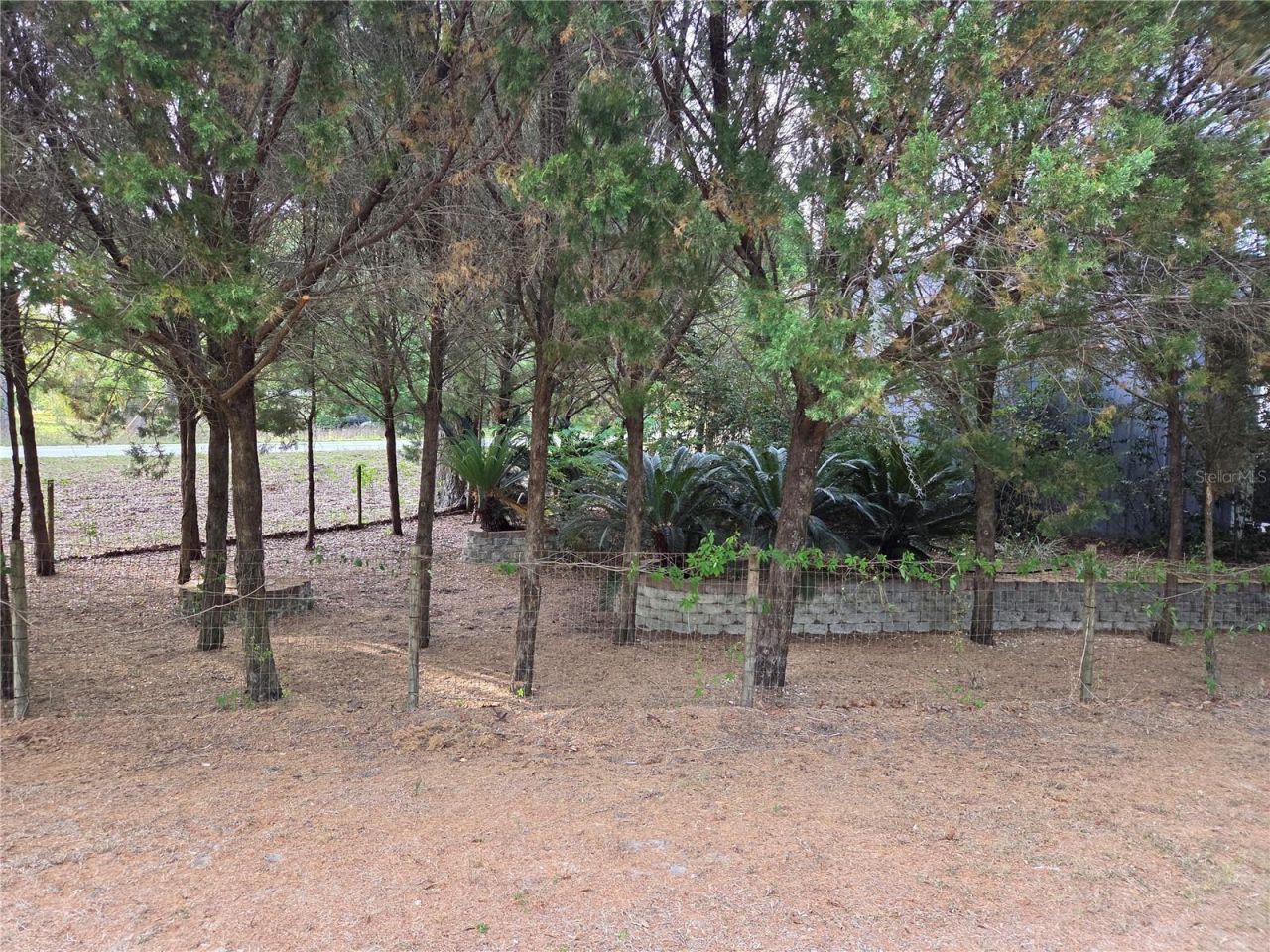 421 Margaret Street, Bronson, FL 32621 Photo