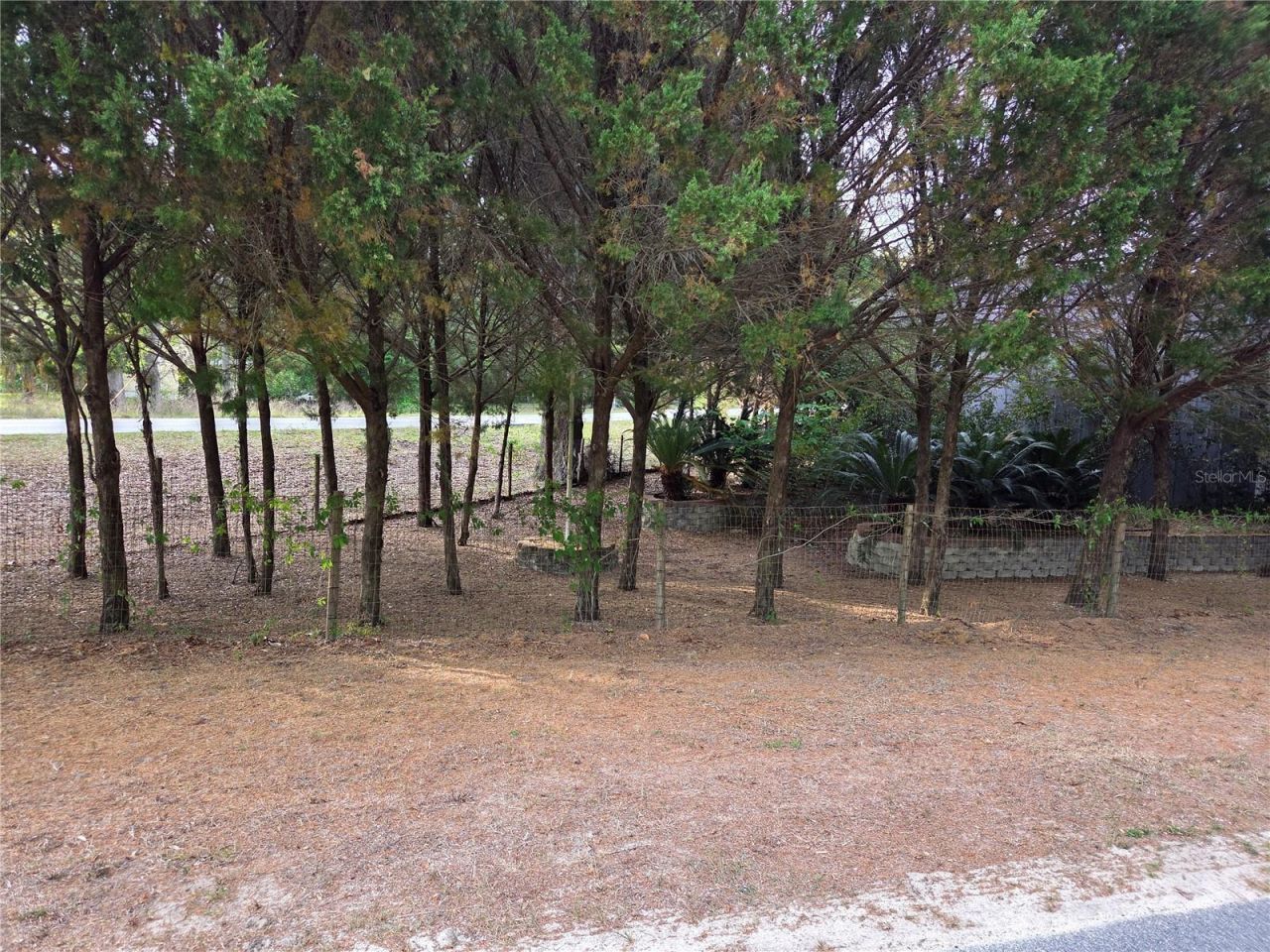 421 Margaret Street, Bronson, FL 32621 Photo