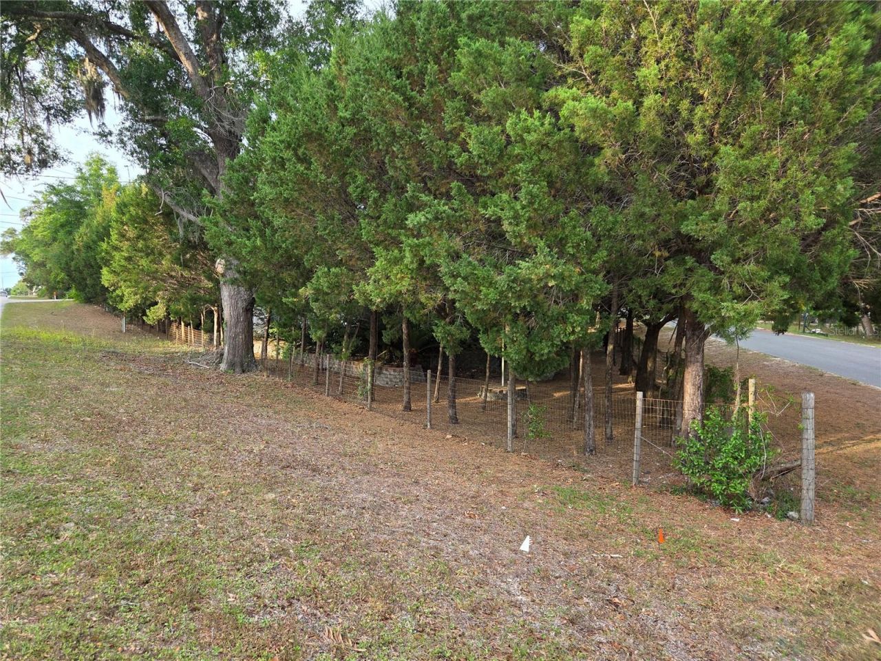 421 Margaret Street, Bronson, FL 32621 Photo