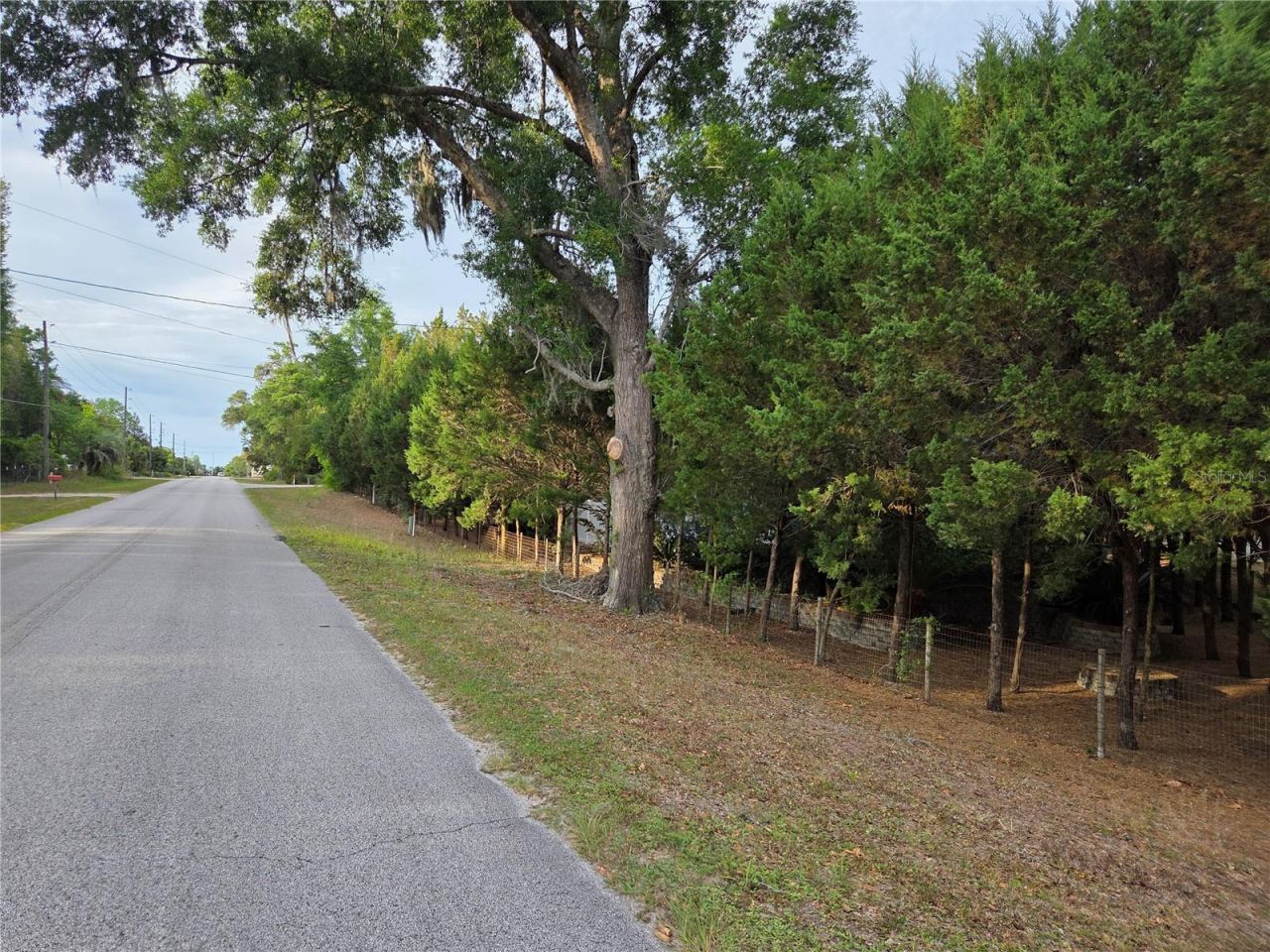 421 Margaret Street, Bronson, FL 32621 Photo