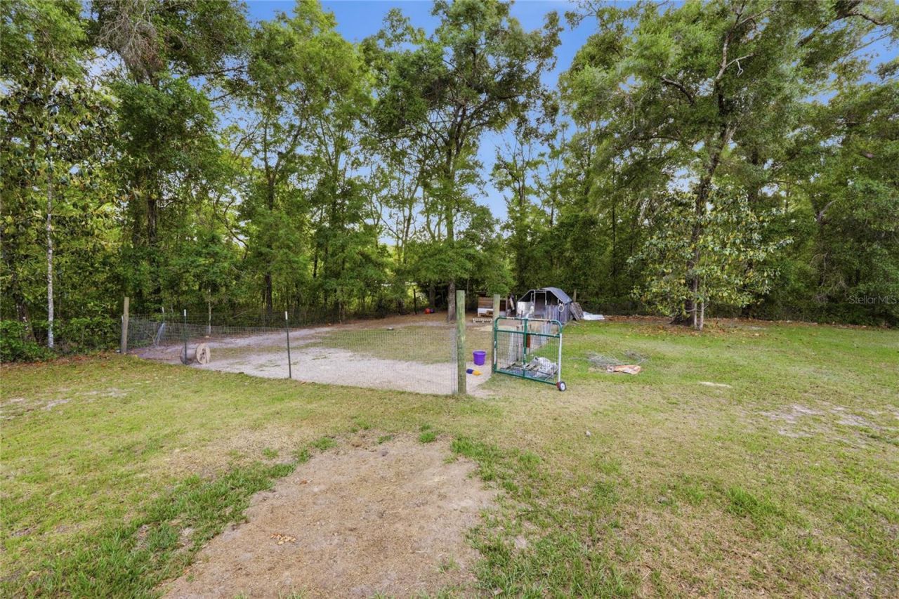 399 NE 899th Street, Old Town, FL 32680 Photo