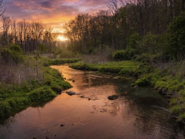 TBD MOSSY CREEK RD, Unit 4, BRIDGEWATER, VA 22812