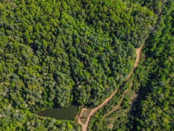 80 ACRES Valley Lake Road, Mineral Bluff, GA 30559