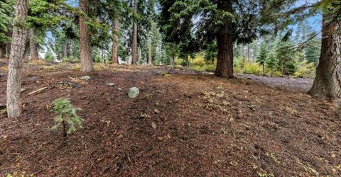 11926 Rhineland Avenue, Truckee, CA 96161 Photo
