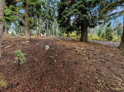 11926 Rhineland Avenue, Truckee, CA 96161 Photo
