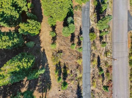 11926 Rhineland Avenue, Truckee, CA 96161 Photo
