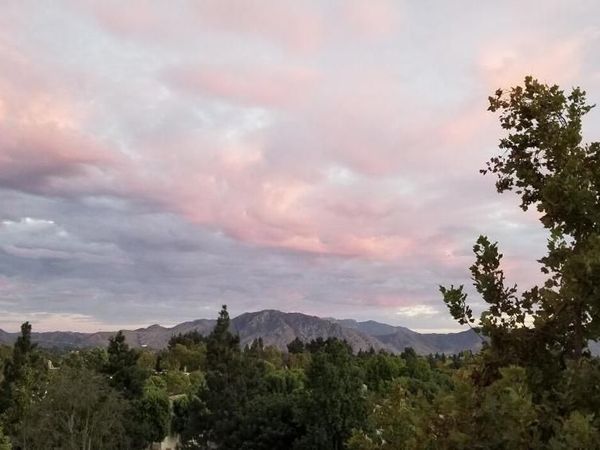 2623 Antonio Drive, Unit 306, Camarillo, CA 93010