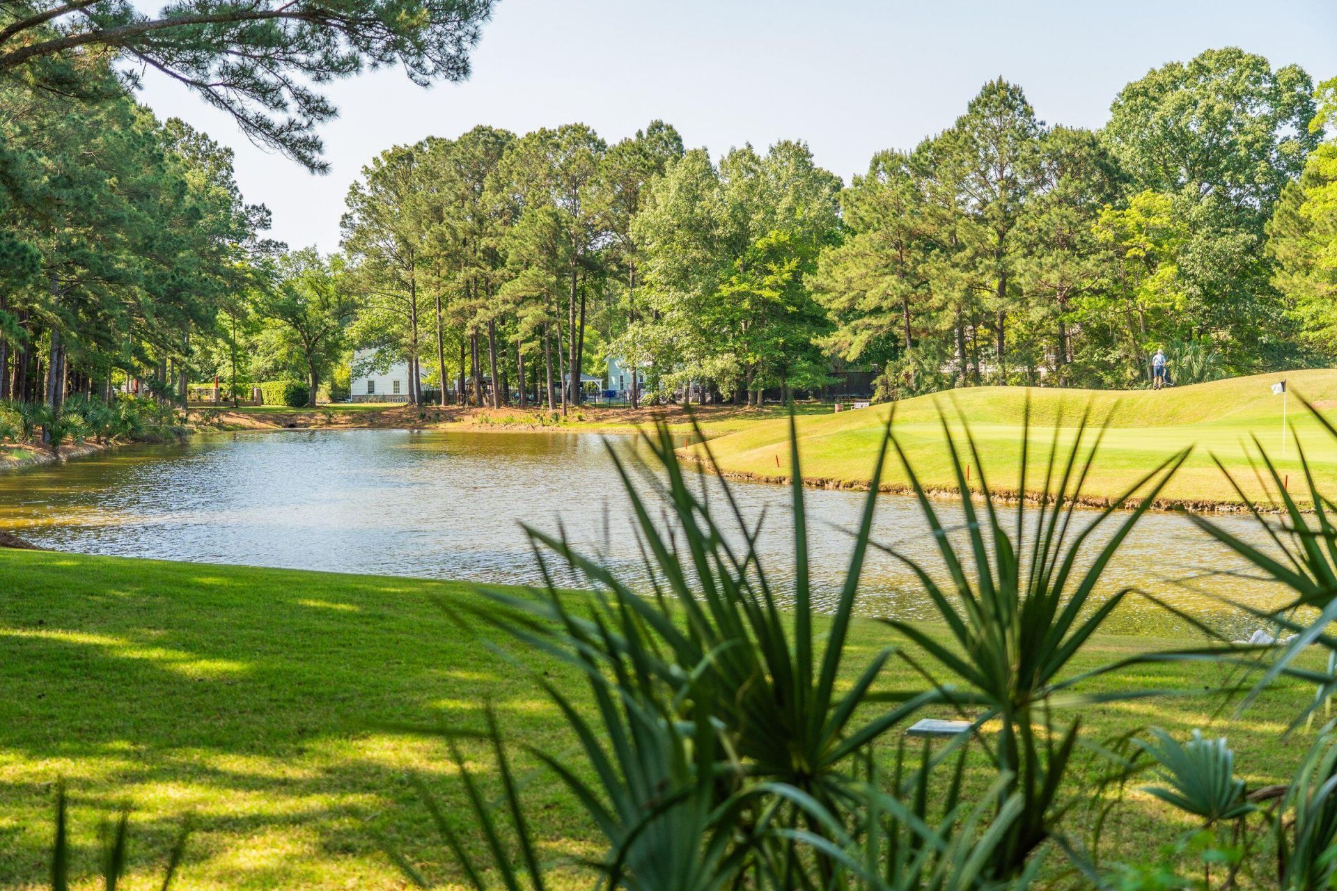 3868 Colonel Vanderhorst Circle Photo 71