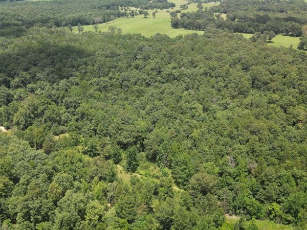 881 Driftwood Drive, Pineville, AR 72566