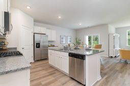 407 Hadley Springs Ave  photo 4