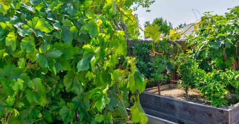 3559 Sunstone Ct, Merced, CA 95340 Photo