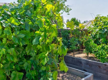 3559 Sunstone Ct, Merced, CA 95340 Photo