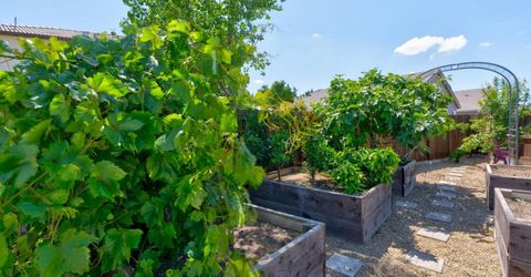 3559 Sunstone Ct, Merced, CA 95340 Photo