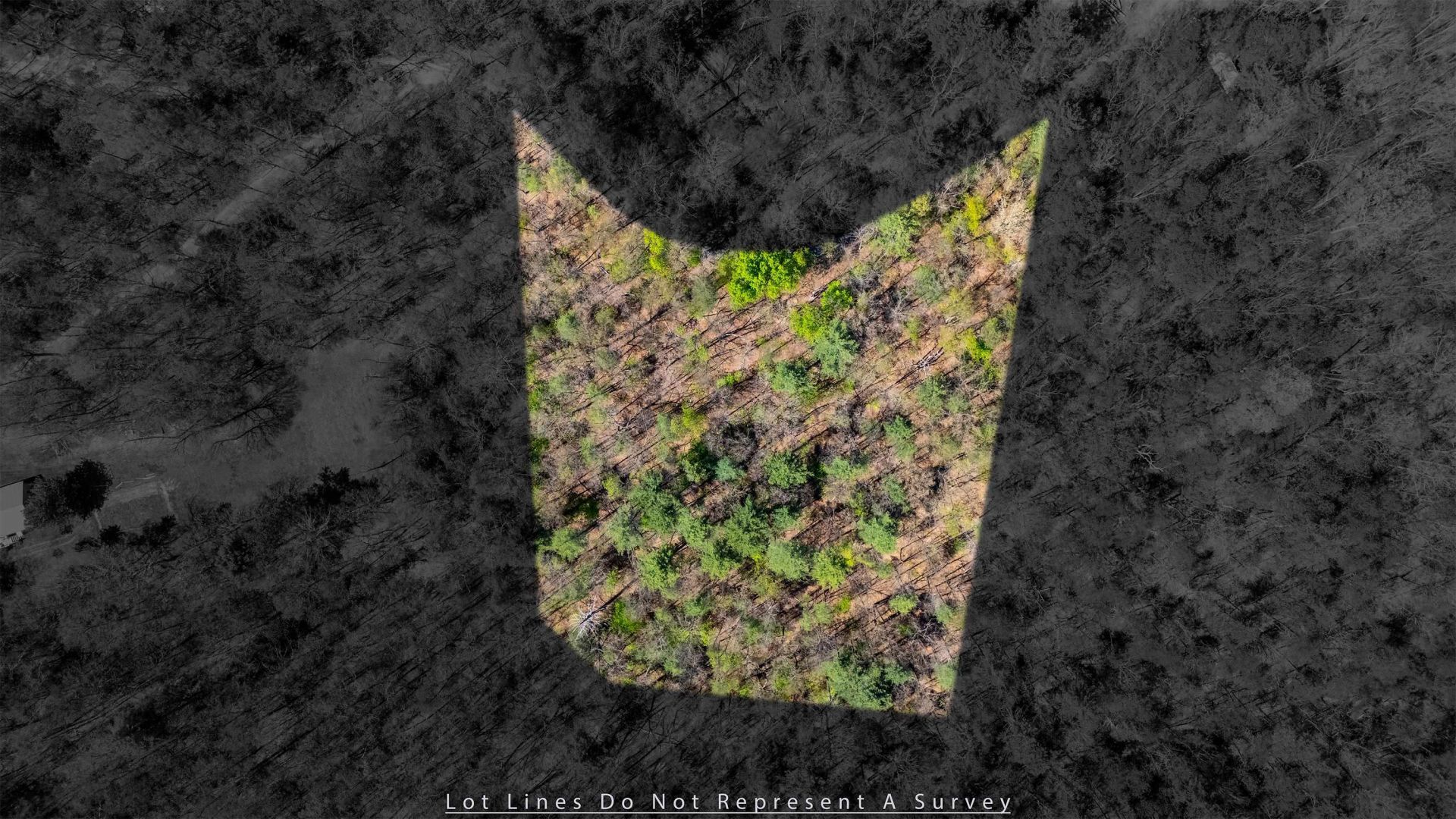 Tbd Camp Hollow Ln, Fulks Run, VA 22830 Main Photo