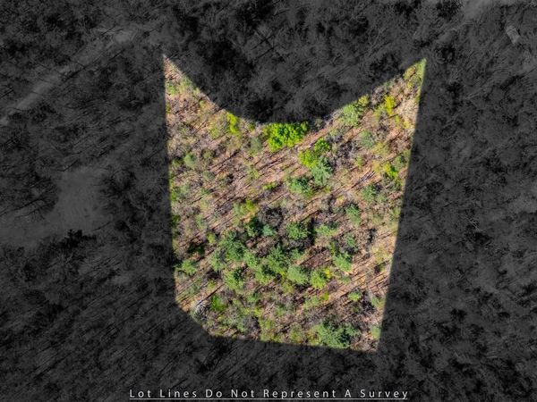 TBD CAMP HOLLOW LN, FULKS RUN, VA 22830