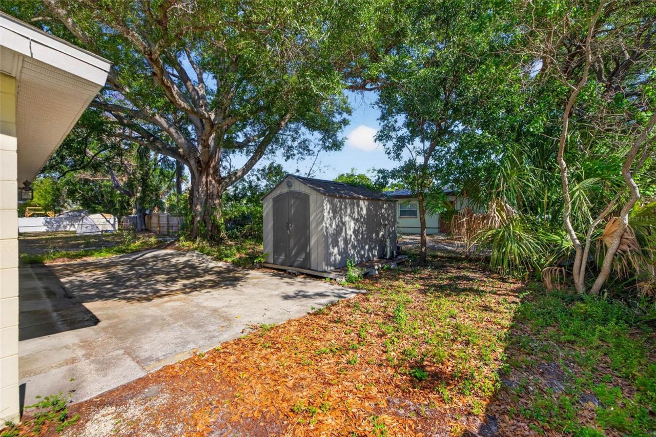 4413 W Rogers Avenue, Tampa, FL 33611 Photo