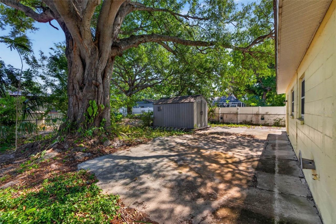 4413 W Rogers Avenue, Tampa, FL 33611 Photo