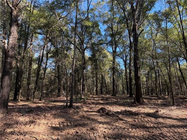 0 Danner Road , Wilmer, AL 36587