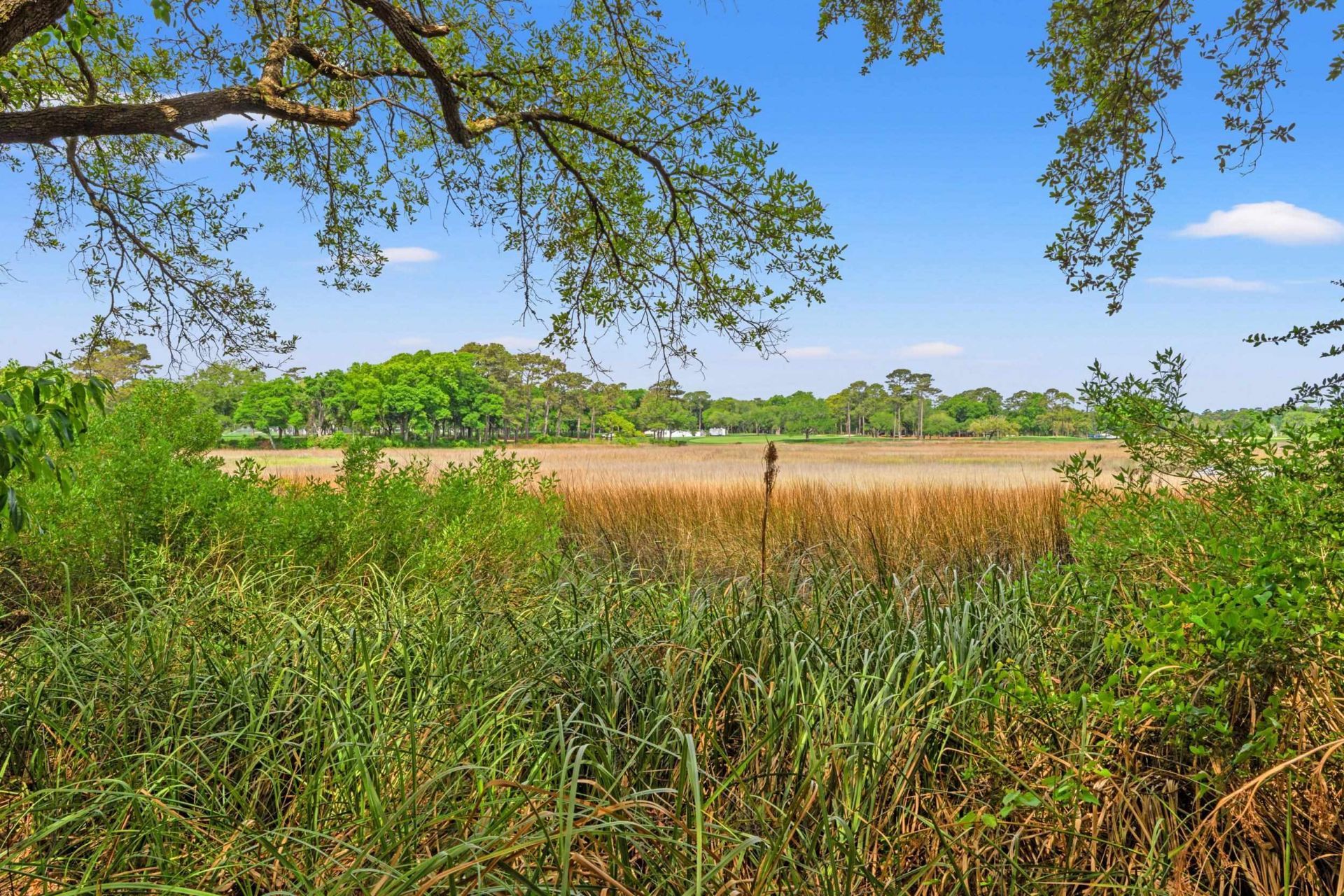 9501 Shore Dr.  Photo 32